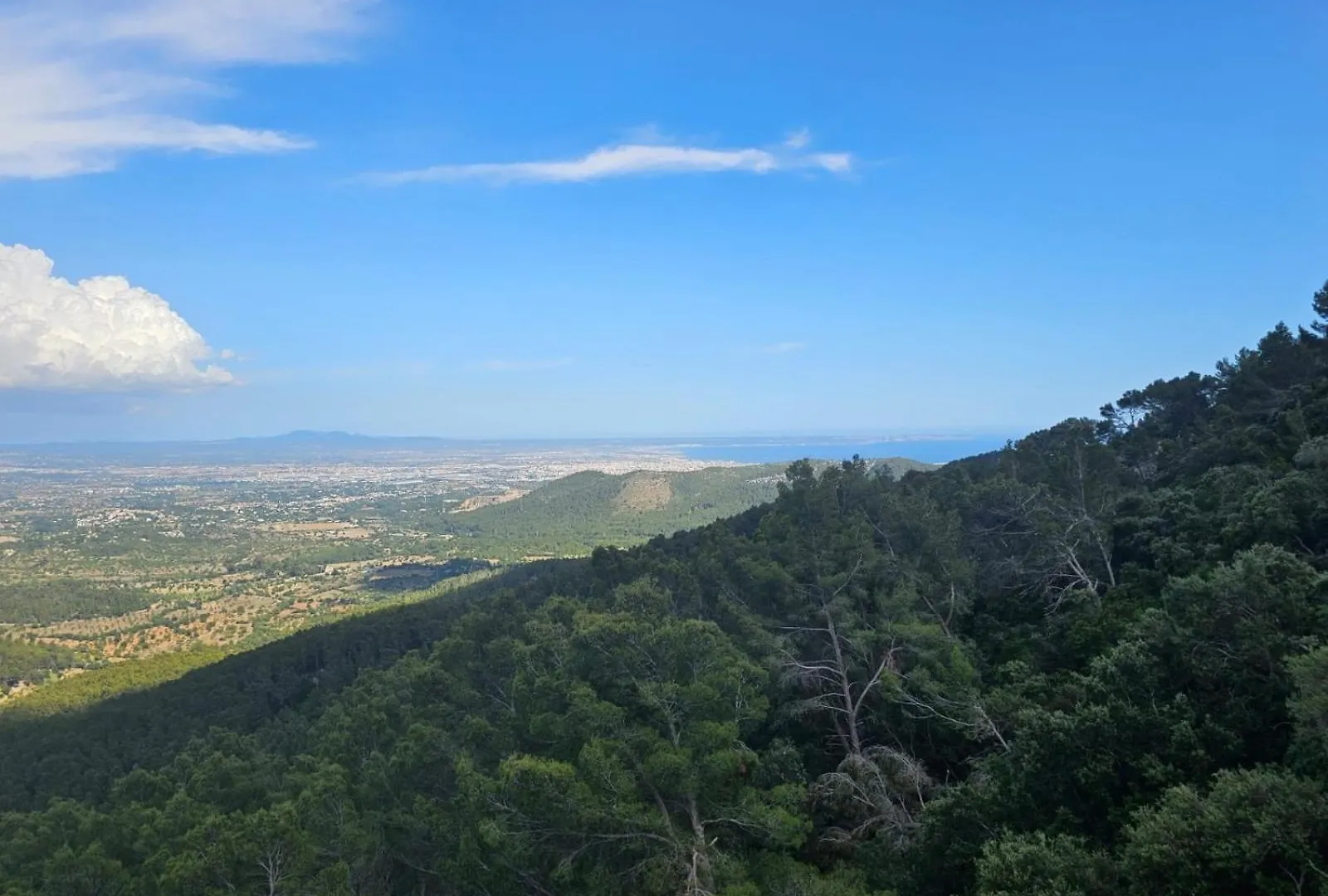 Finca Es Verger Coll De Tords Esporles